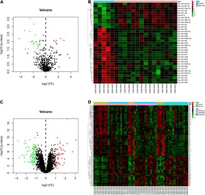 Identification of Potential ceRNA Network and Patterns of Immune Cell Infiltration in Systemic Sclerosis-Associated Interstitial Lung Disease